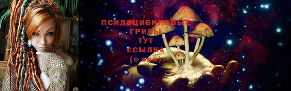 сатива Иннополис