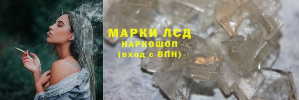 сатива Иннополис