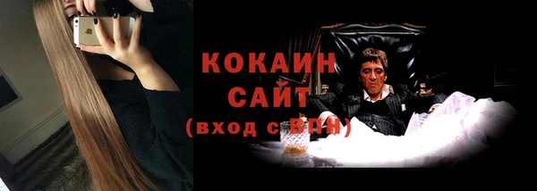 сатива Иннополис