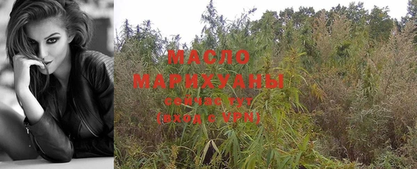spice Инсар