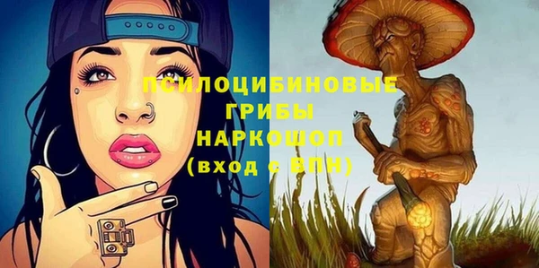 сатива Иннополис