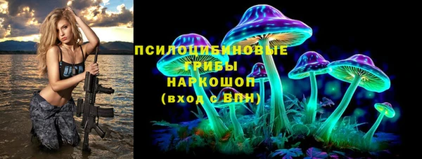 сатива Иннополис