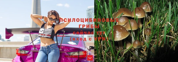 spice Инсар