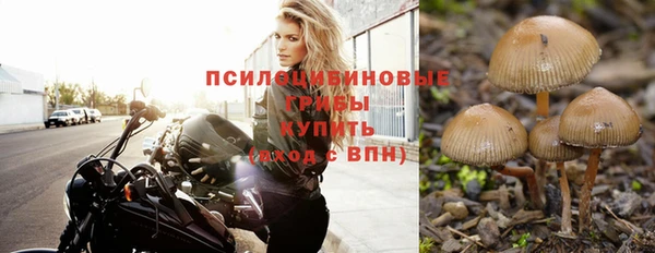 сатива Иннополис