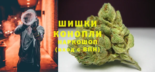 сатива Иннополис