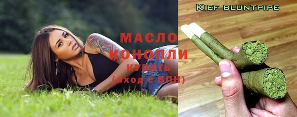 сатива Иннополис