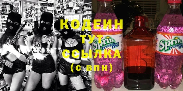 сатива Иннополис