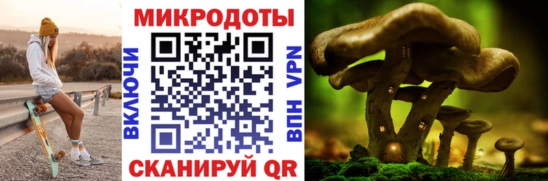 Галлюциногенные грибы GOLDEN TEACHER  дарк нет состав  Севск 